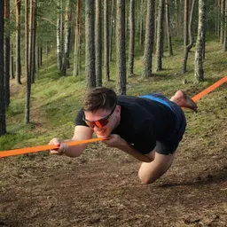 Василий Елистратов